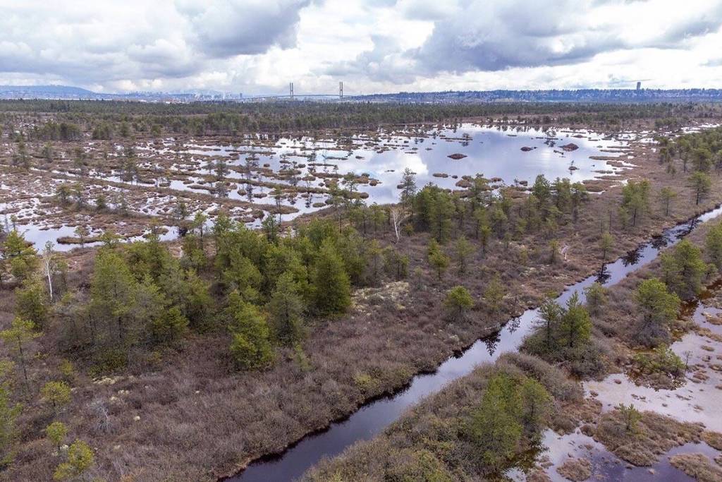 What’s happening around Delta: Week of Dec. 4